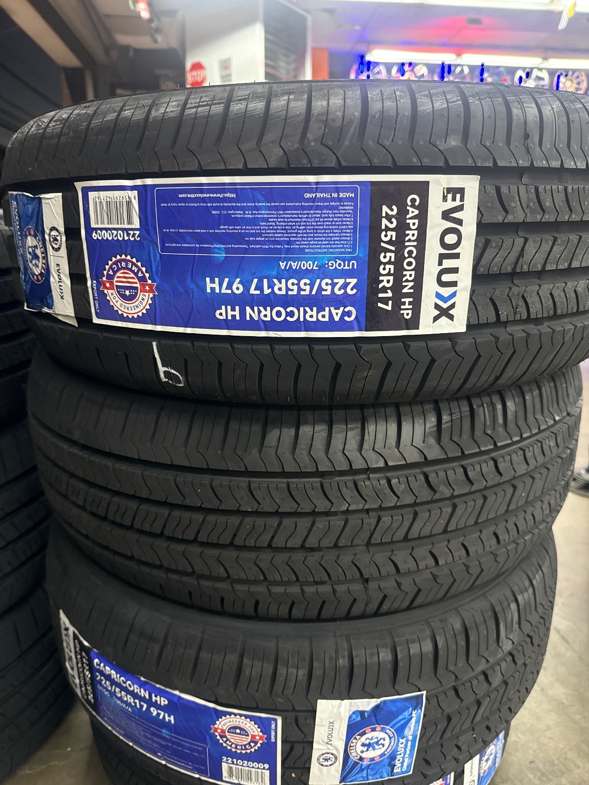 Evoluxx CAPRICORN HP 225/55R17 97H
